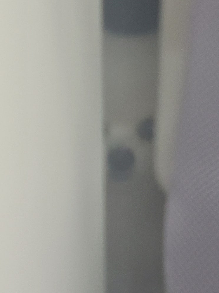  [블챌] 2주차... 주간일기
