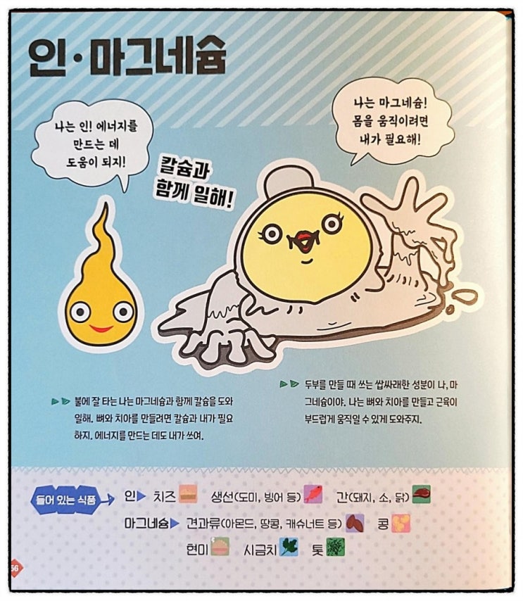  인 마그네슘 에너지 칼슘 뼈 치아 근육 혈압 신진대사 에너지 신경