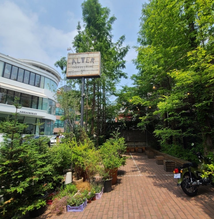  [강남역/신논현역 맛집] 초록 빛깔 곧게 뻗은 싱그러운 카페 《알베르》