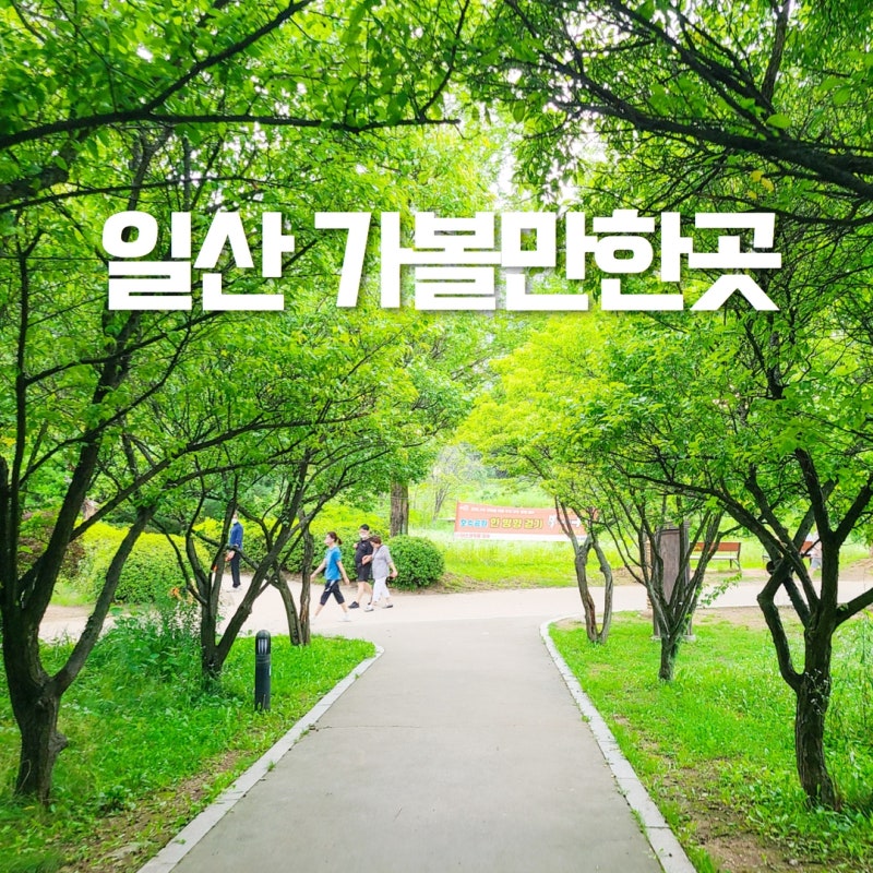 고양화박람회 일산호수공원 튤립 야간 데이트 장소