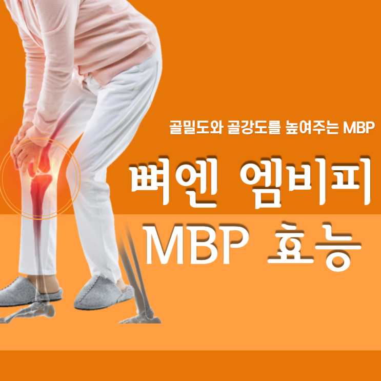 뼈엔 엠비피 MBP 가루 효능 유단백추출물 골다공증 예방