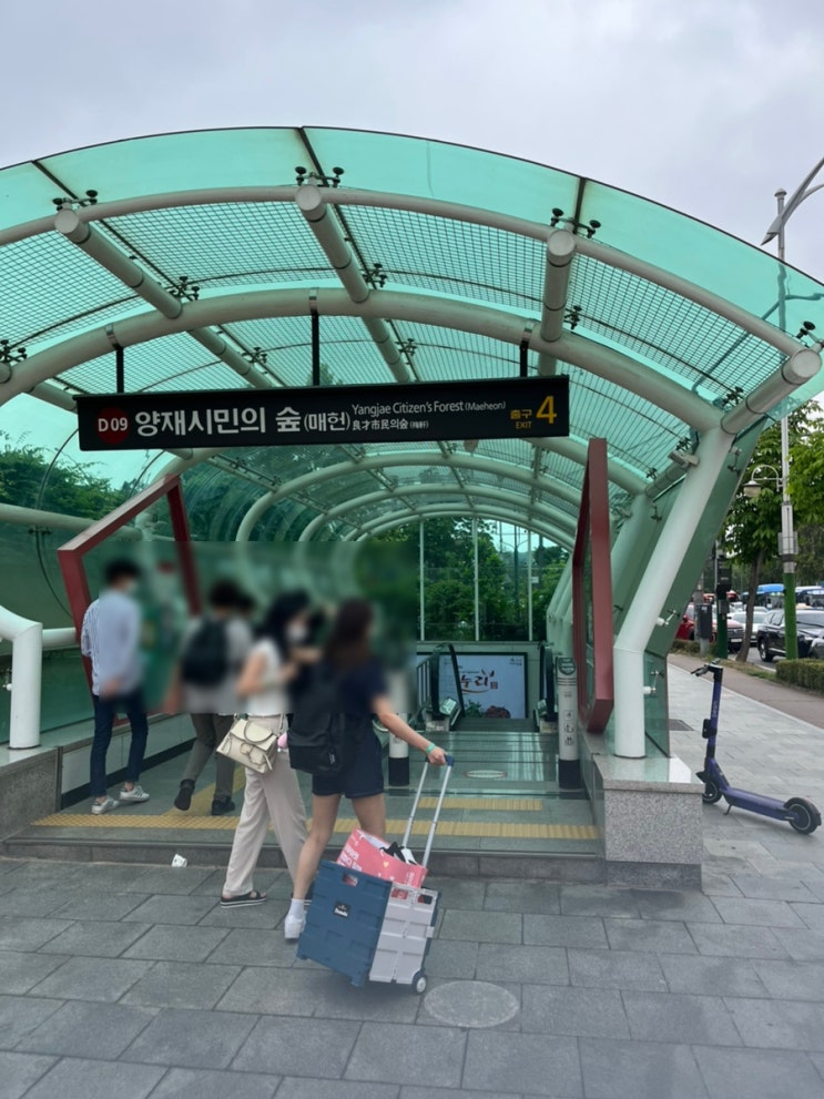  2022년궁디팡팡 캣페스타후기(양재시민의숲4번출구)