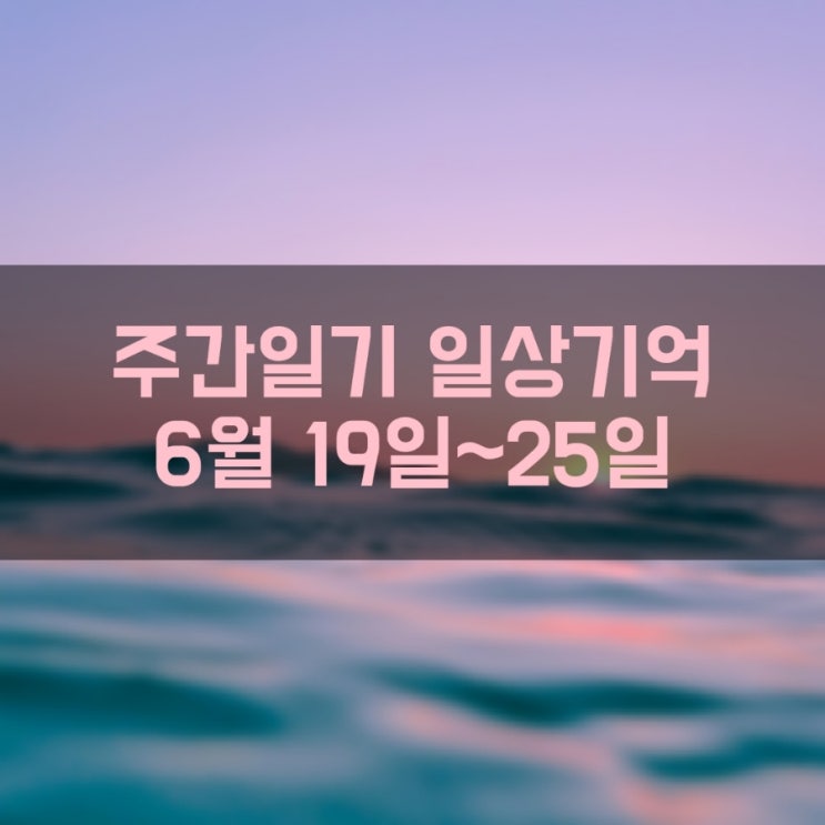 [주간일기] 일상기억 (6월 19일 ~ 6월 25일)