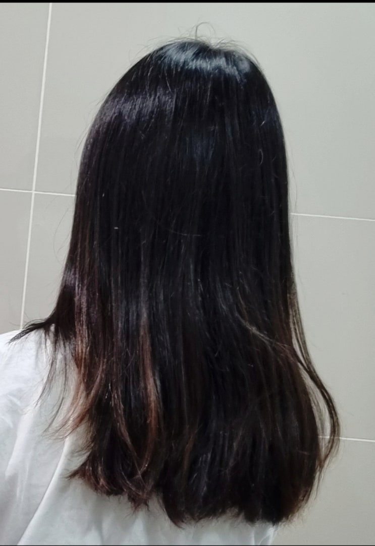  [블챌] 6월 둘째주 주간일기 챌린지