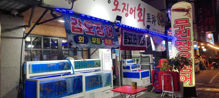  [까치산 술집] 간술하기 좋은 횟집 "오징어회포차"