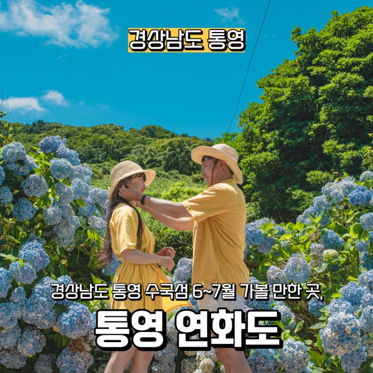  [경상남도] 통영 수국 섬 6~7월 가볼 만한 곳, 통영 연화도