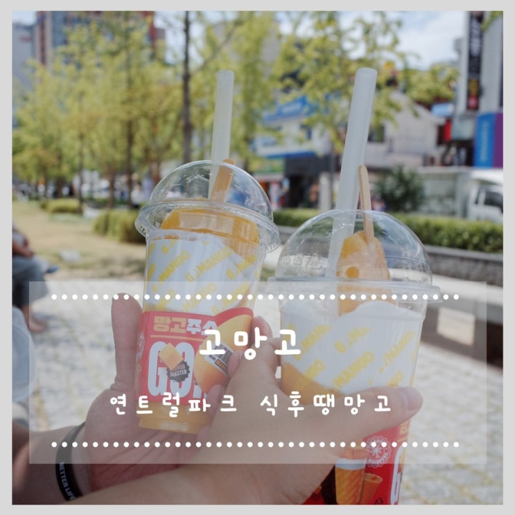  홍대 연트럴파크 고망고 연남점
