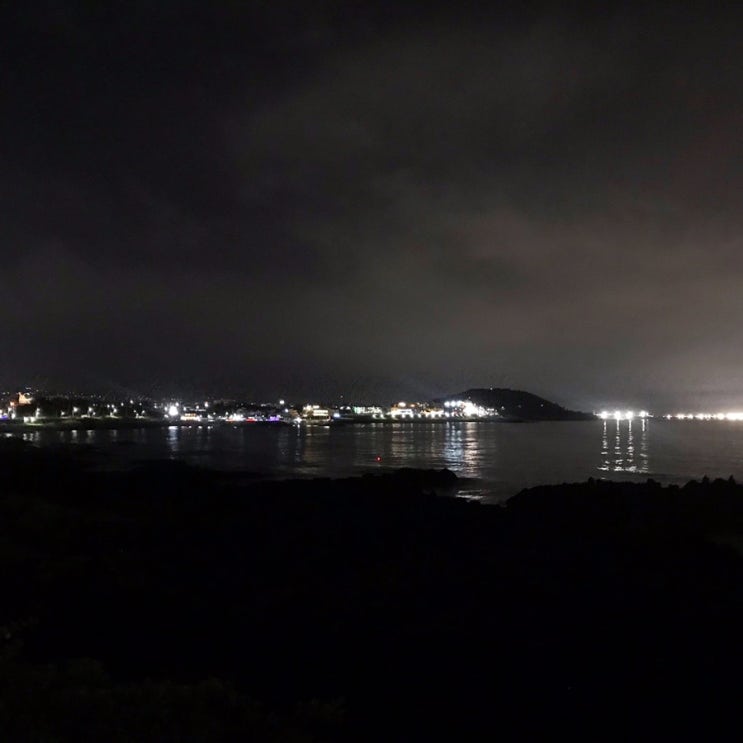  619. 제주, 달 100개
