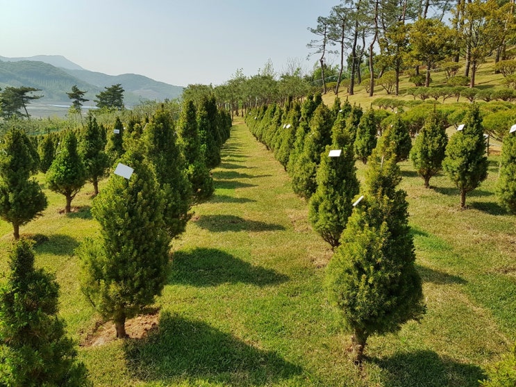  용인자연장 안장하는 방법 설명합니다