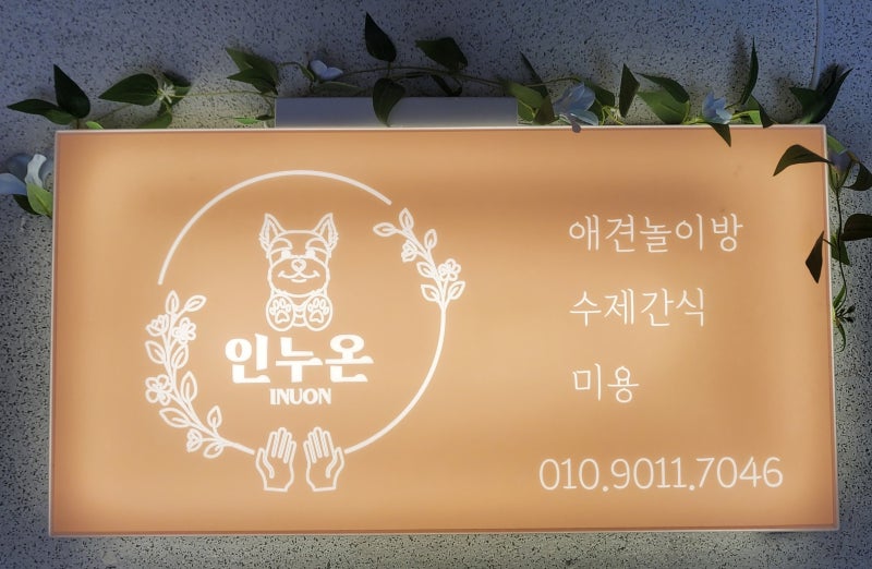 인누온 강아지유치원 놀이방 호텔 미용