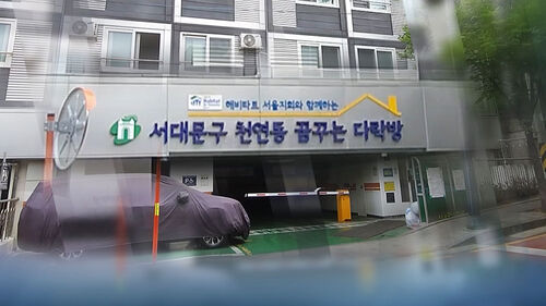 급증하는 '청년 1인 가구'…지원책 마련 고심하는 지자체  : SBS 뉴스