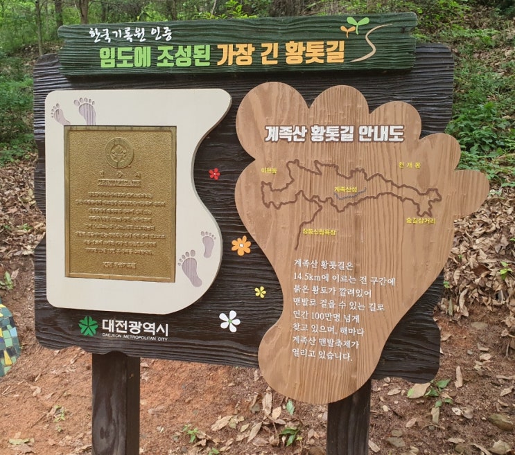  [일상기록]대전 계족산 황톳길(feat. 집과 직장의 분리, 22.6.18.)