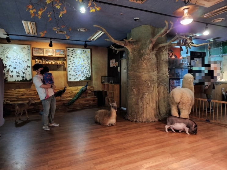 울산와우쥬 자유분방한 동물들을 만져볼수있는 실내동물원