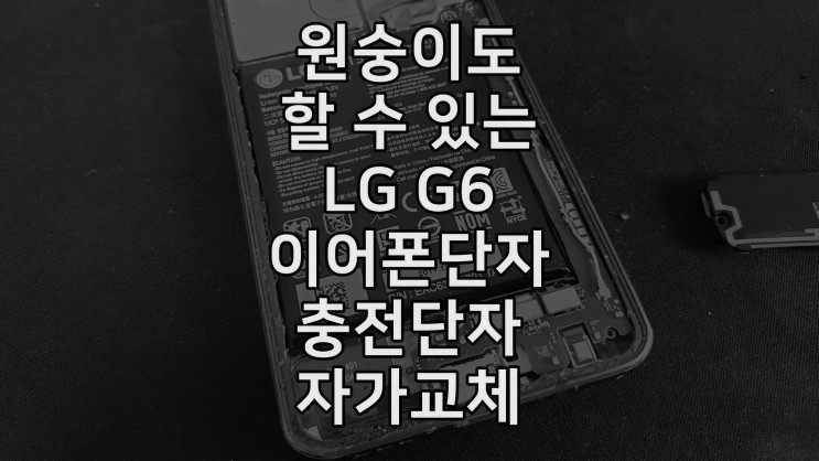 LG G6 이어폰단자 충전단자 자가수리 후기