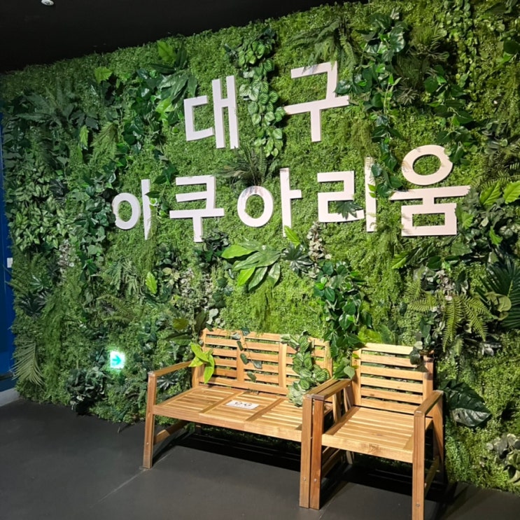  대구아이와가볼만한곳 데이트명소 대구아쿠아리움 할인정보와 인어공주쇼 후기