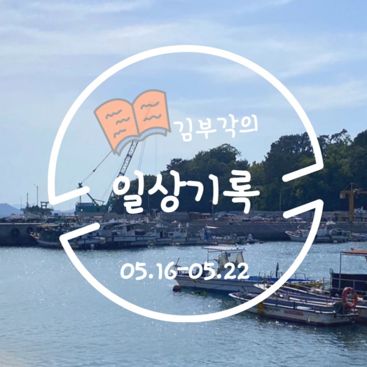  5월 셋째주 일상 기록