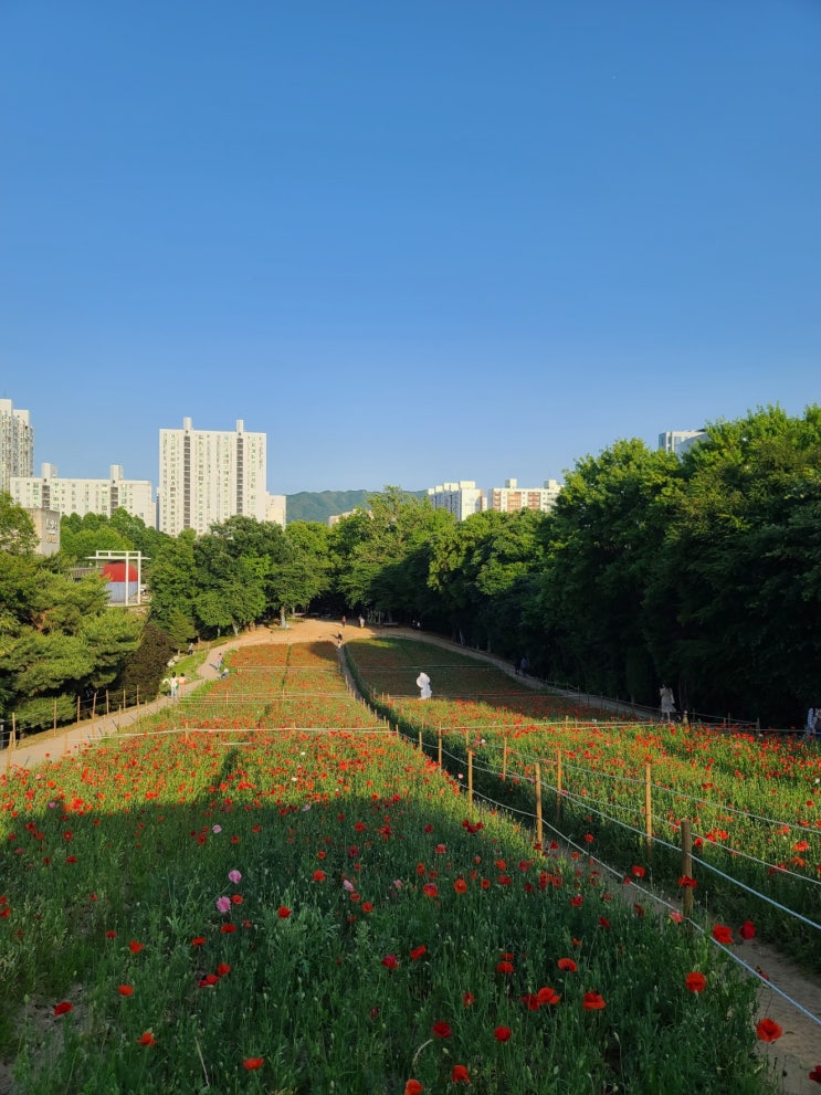 과거로 돌아가는 주간 일기