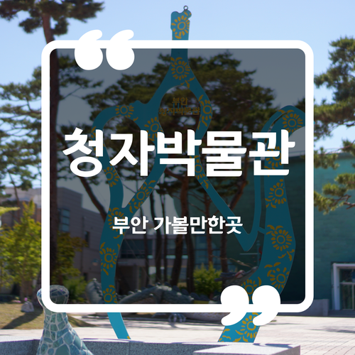  부안 가볼만한곳 - 부안청자박물관 입장료 이용시간