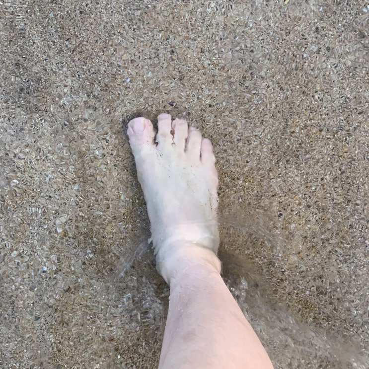  좋은 게 좋은 거 맞나