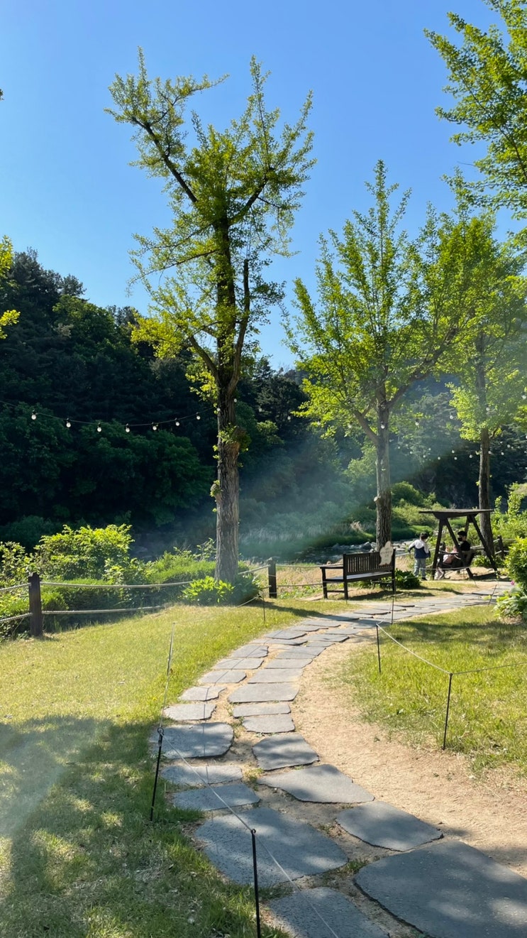  켄싱턴 리조트(가평)이용 꿀팁 - 산책로, 보드게임 대여하기!