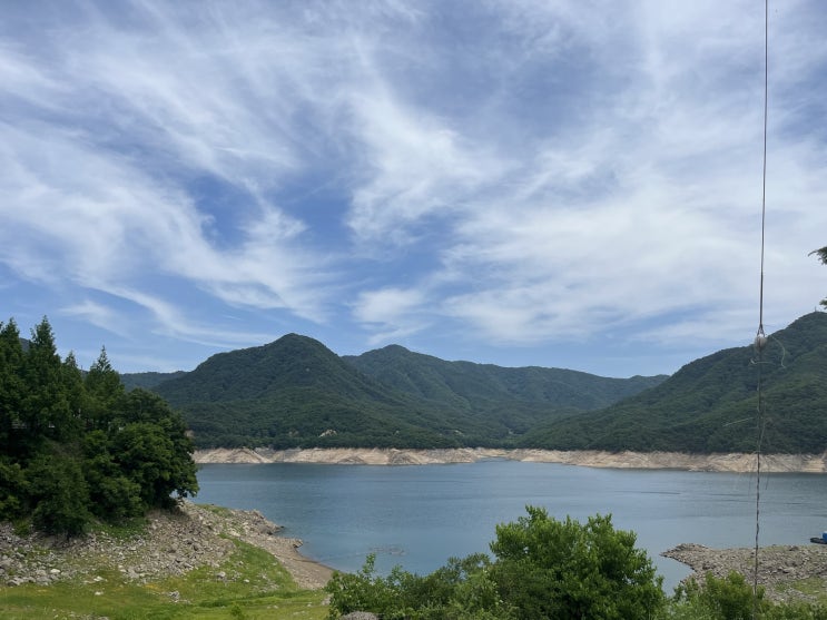  [일상] 충주 당일치기 // 충주 시골 식당