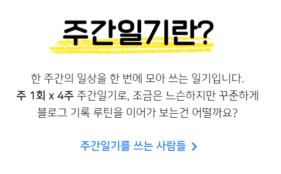 [블챌] 주간일기 1. 그간의 일기