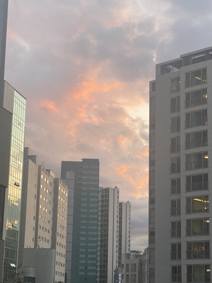  일상7