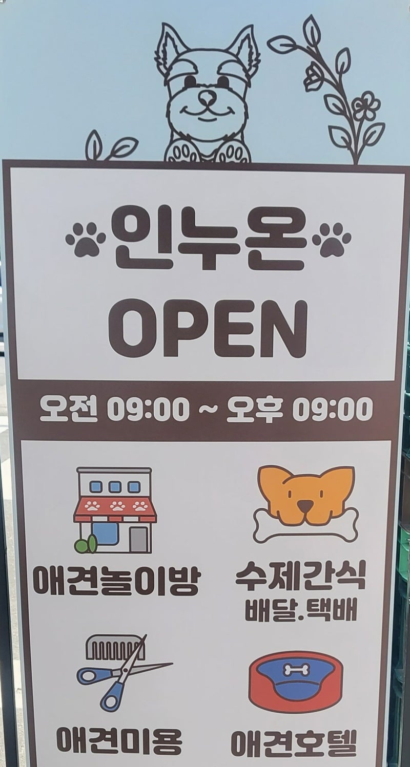 사진 3