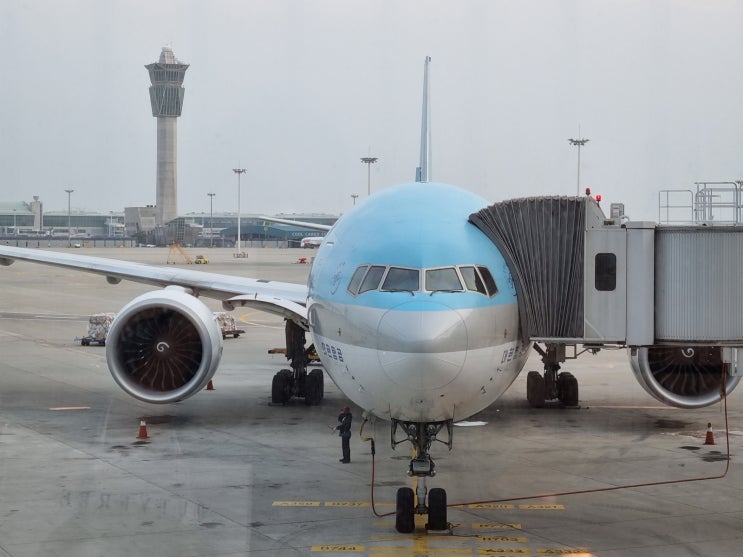 한국입국 큐코드 Q code 검역정보 사전입력시스템 등록 후기 한국입국 큐코드 Q code 검역정보 사전입력시스템 등록 후기