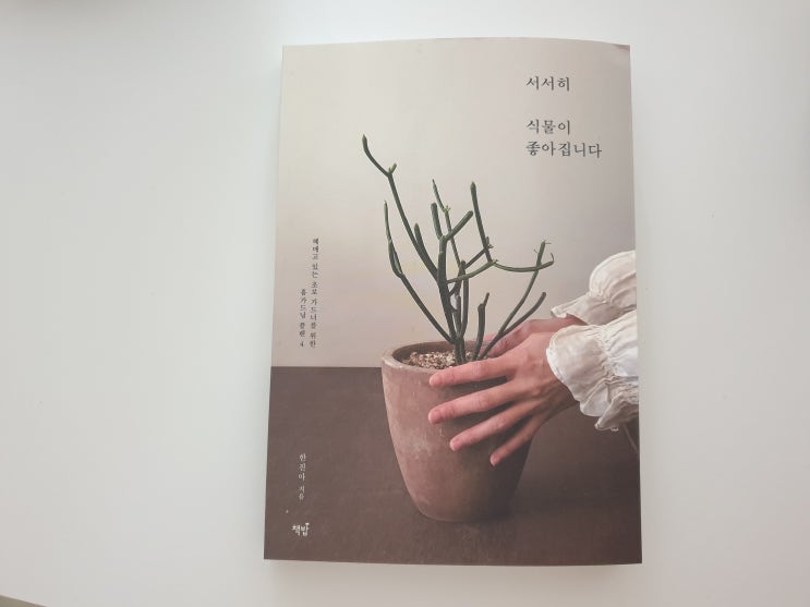  서서히 식물이 좋아집니다.