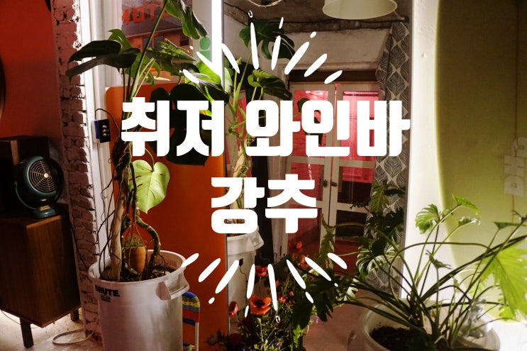  재방문 / 노원역 와인 호적 - 내돈내산 노원역 술집 재방문후기