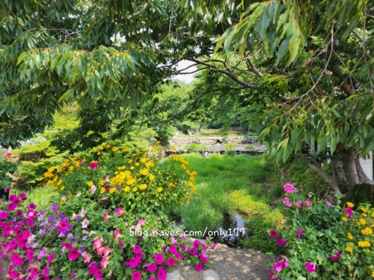  경주 꽃구경하기 좋은 기림사 방문