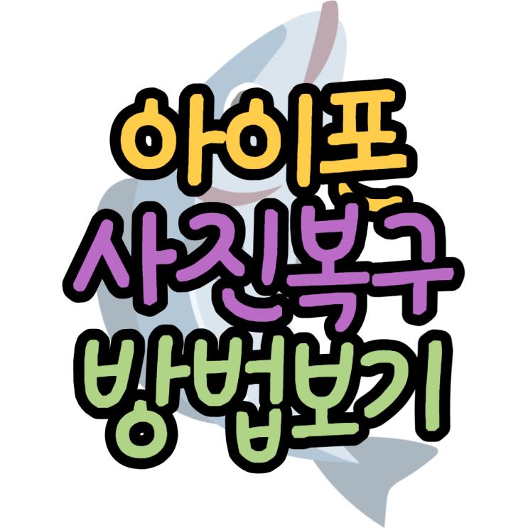 아이폰 사진 복구 실수로 삭제한 사진 되살리는법 아이폰 사진 복구 실수로 삭제한 사진 되살리는법