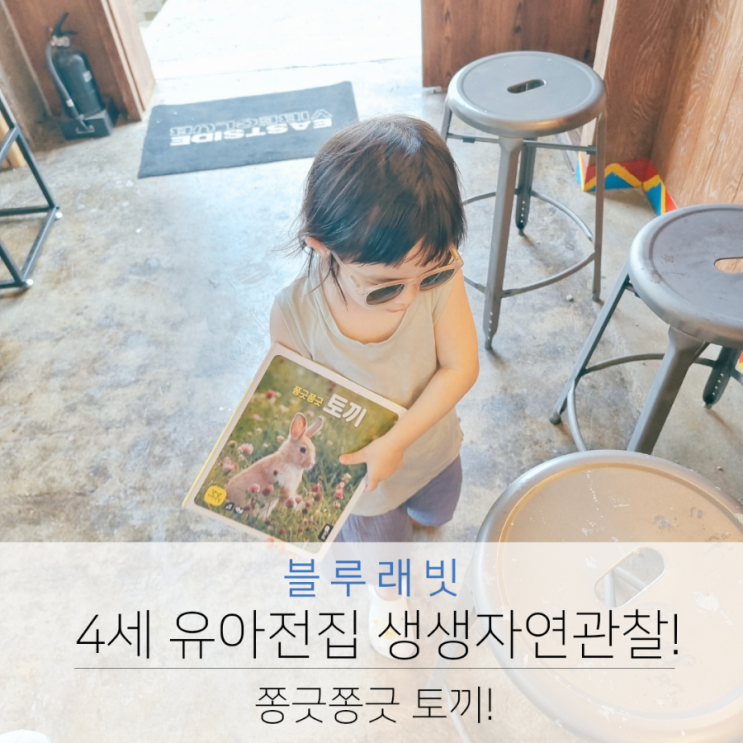  4세 유아전집 블루래빗 생생자연관찰 쫑긋쫑긋 토끼