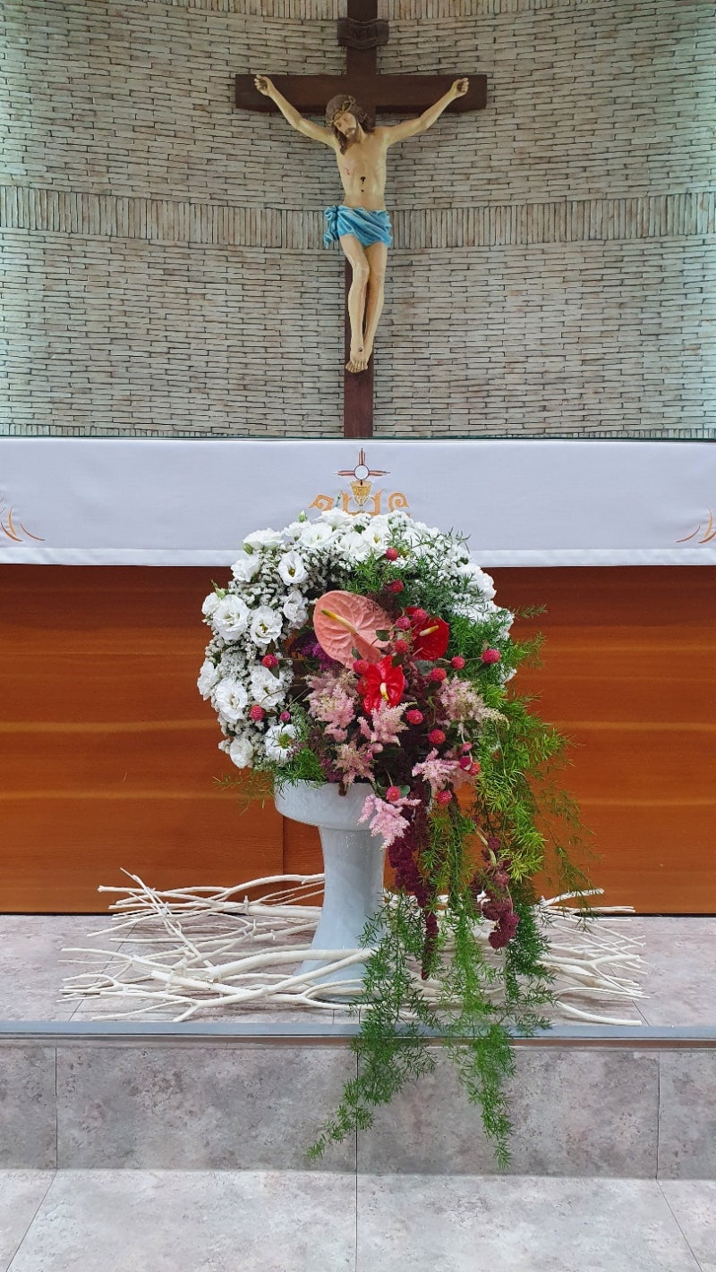 가톨릭 제대 꽃꽂이 봉사/ 성체 성혈 대축일(관저동 성당 헌화회) : 네이버 블로그, image size:800x1422