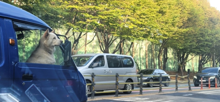  초록~초록~ 6월 3주차 주간일기