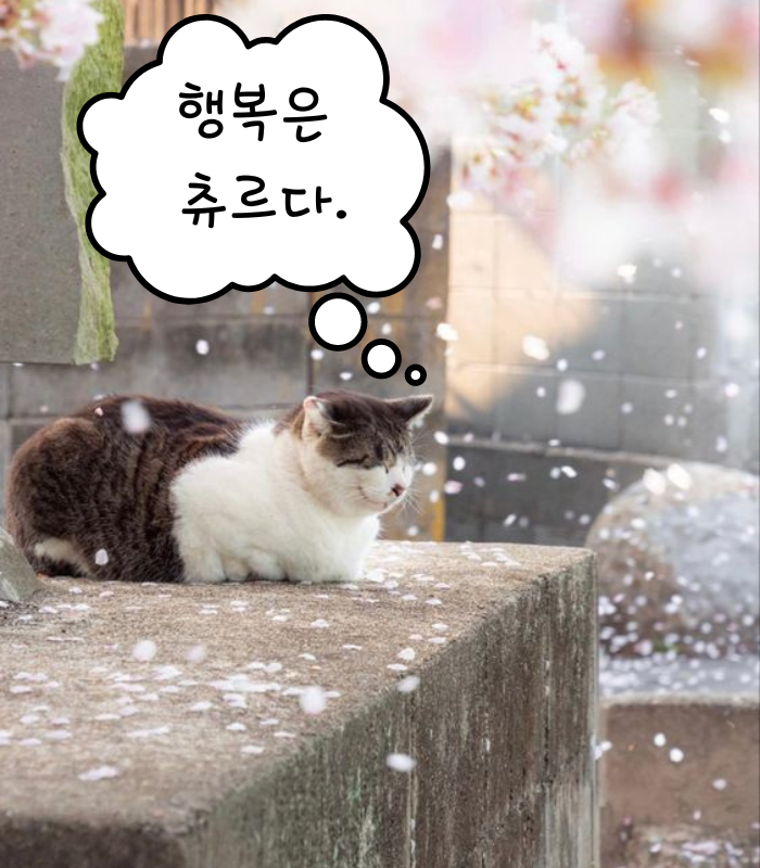  [교훈 글귀] 명언 2개