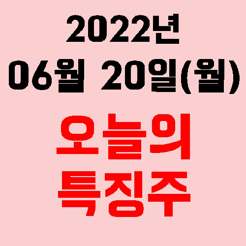  오늘의 시장 특징주 2022년 06월 20일(월)