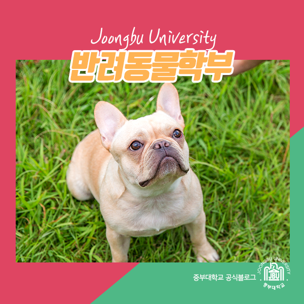 동물사육사 되는법 연봉까지 알아볼게요 : 네이버 블로그