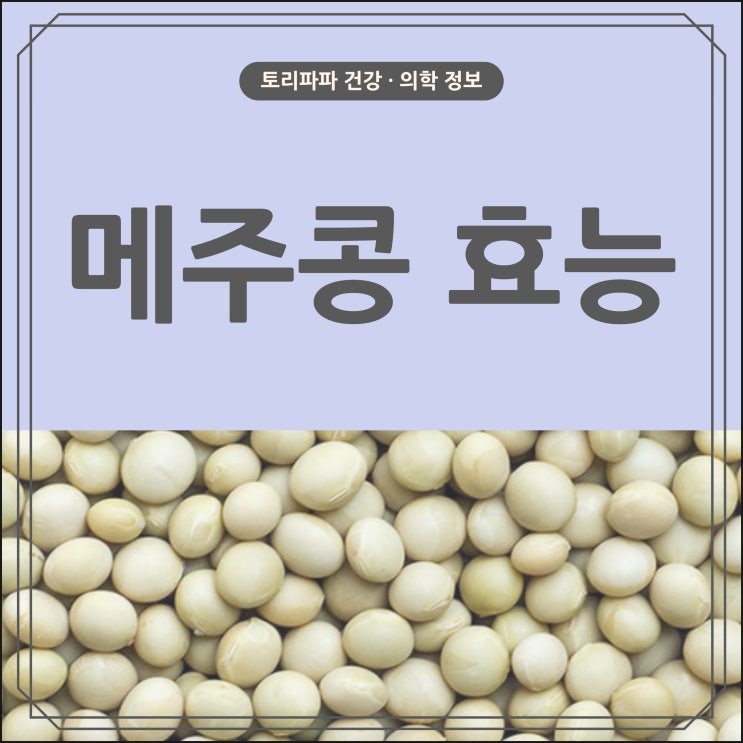  두부, 된장, 콩국수에 사용되는 메주콩(백태)의 효능