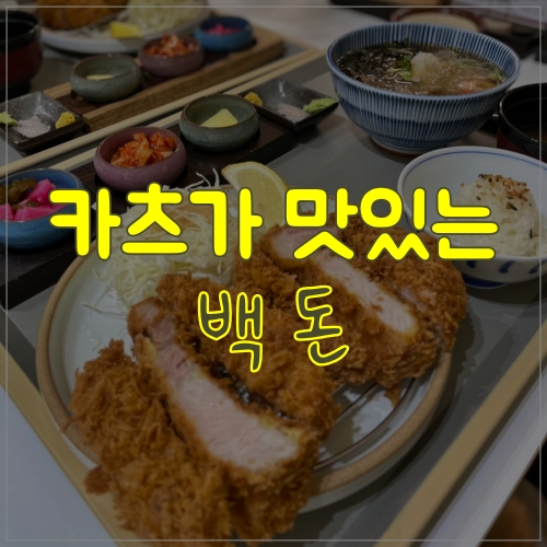  망우 돈까스 맛있는 곳 '백돈'
