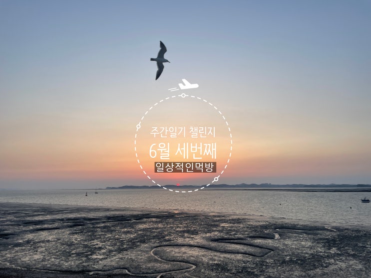  6월 주간일기 챌린지 #3
