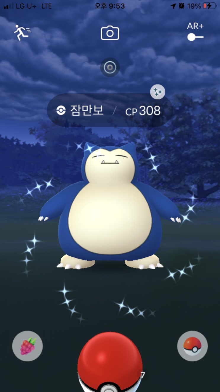  잠만보 이로치
