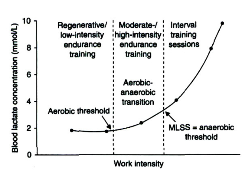 젖산 역치 (anaerobic threshold) : 네이버 블로그