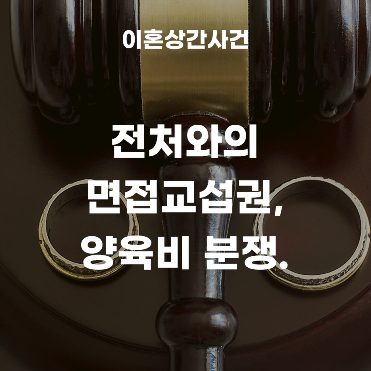 10년전 협의이혼 이후, 전처와의 면접교섭권, 양육비변경심판 소송사례.