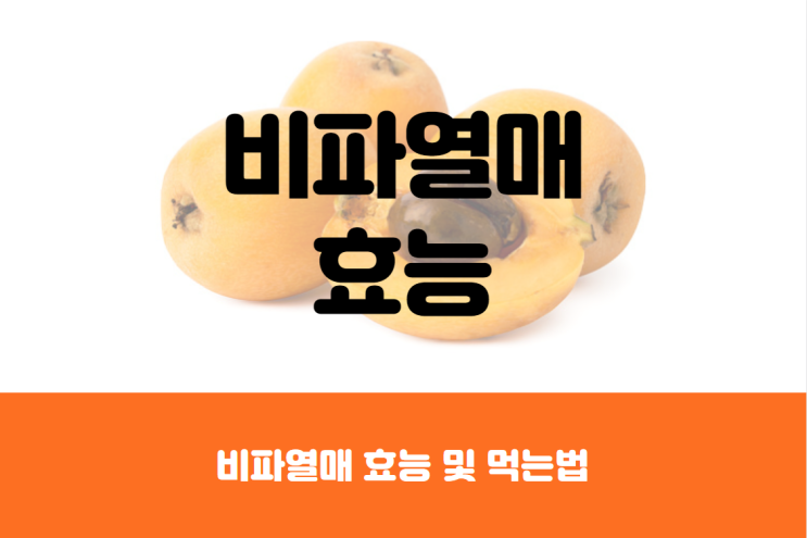  비파열매 효능 및 먹는법