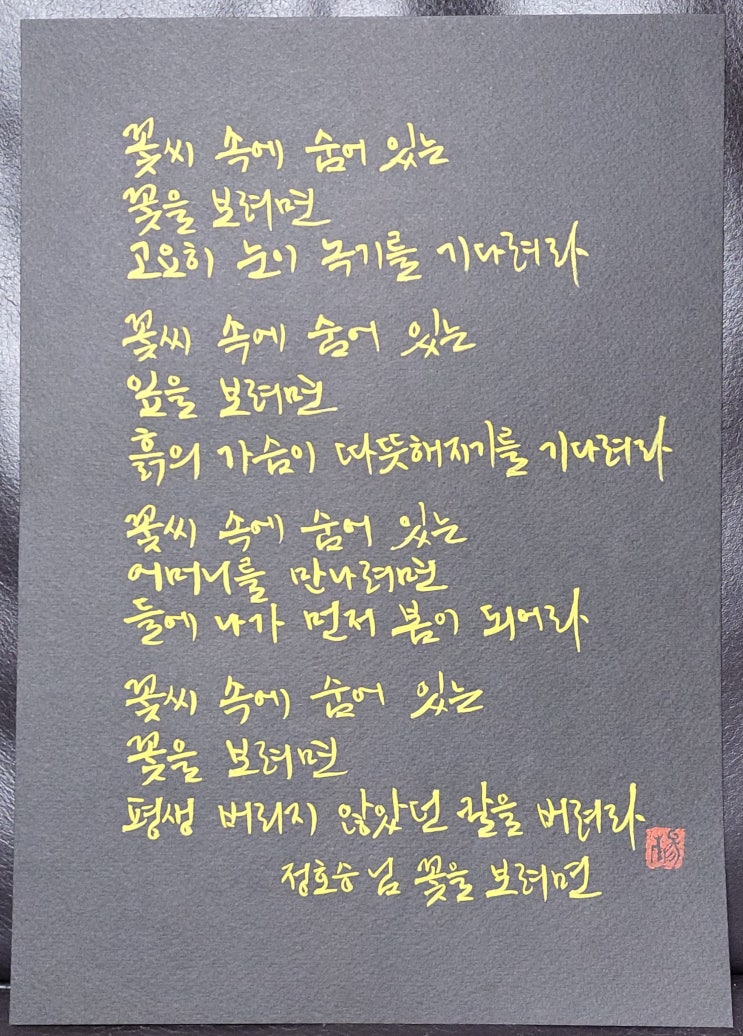  [캘리그라피(붓펜)/꽃을보려면/정호승/좋은글귀/공감글귀/감성글귀] 꽃씨 속에 숨어 있는  꽃을 보려면...