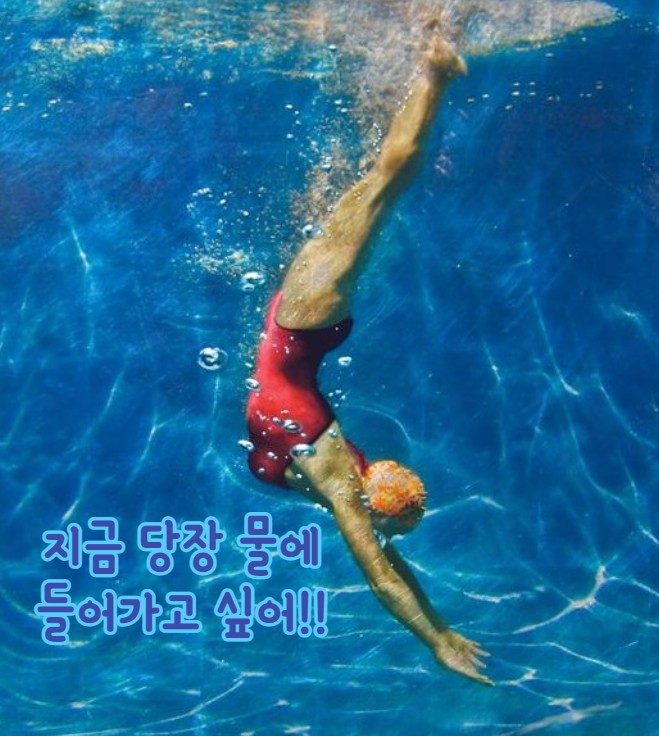  지금 당장 물에 들어가고 싶어!!