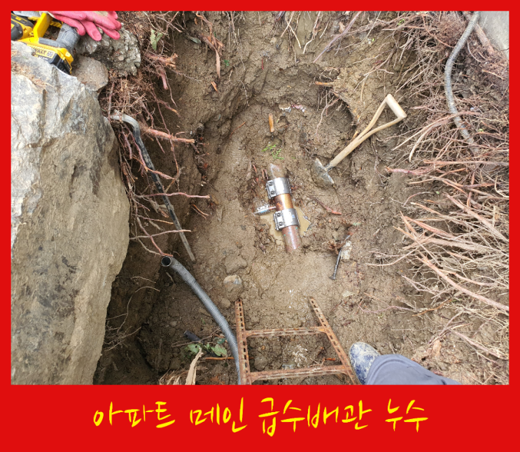 서울 아파트 메인 상수도 급수배관 누수 탐지하고 보수까지 완료