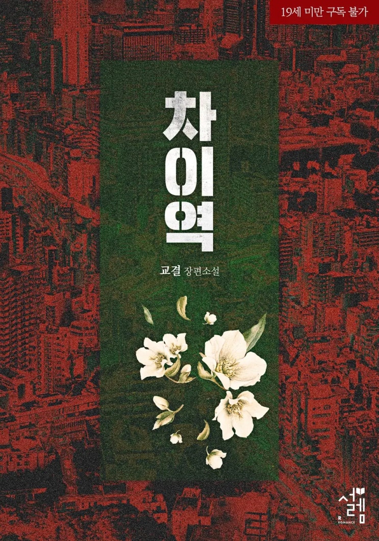 로맨스 소설 리뷰) 교결-차이역